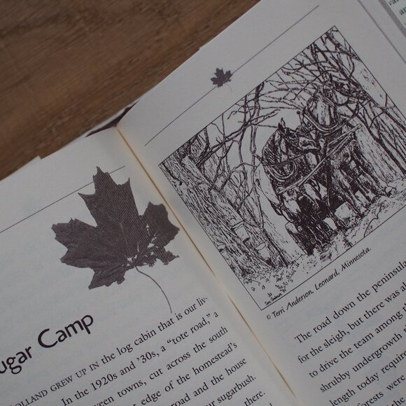 Sugartime | Book - Picture 2 of 3